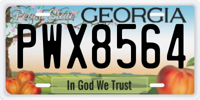 GA license plate PWX8564