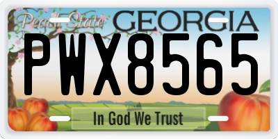 GA license plate PWX8565
