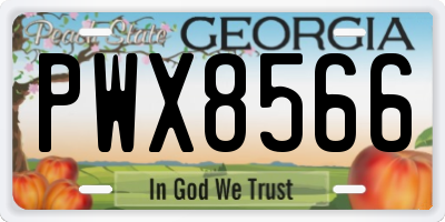 GA license plate PWX8566