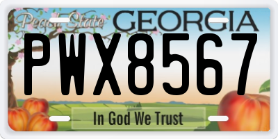 GA license plate PWX8567