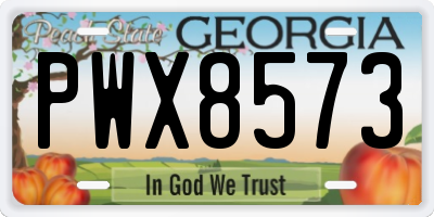 GA license plate PWX8573