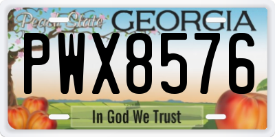GA license plate PWX8576