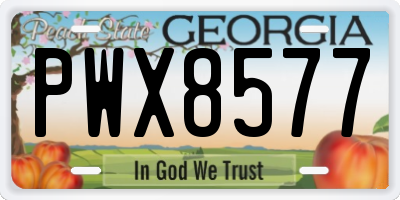 GA license plate PWX8577