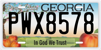 GA license plate PWX8578