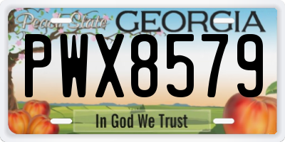 GA license plate PWX8579