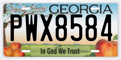 GA license plate PWX8584