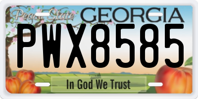 GA license plate PWX8585