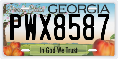 GA license plate PWX8587
