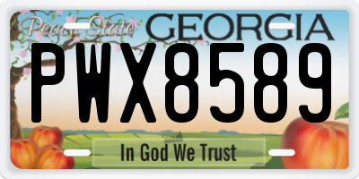 GA license plate PWX8589