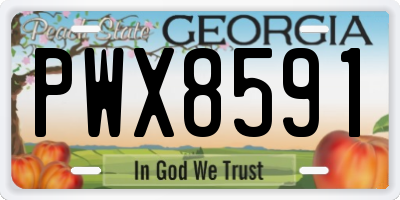 GA license plate PWX8591