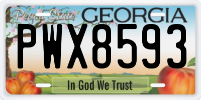 GA license plate PWX8593