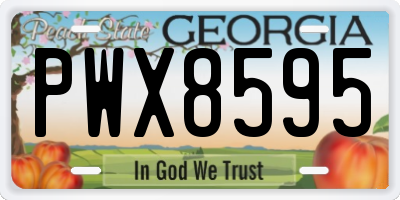 GA license plate PWX8595