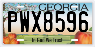 GA license plate PWX8596