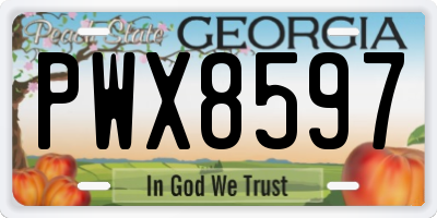 GA license plate PWX8597