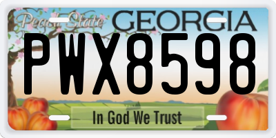 GA license plate PWX8598