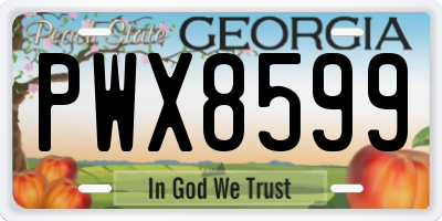 GA license plate PWX8599