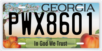 GA license plate PWX8601