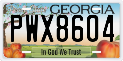 GA license plate PWX8604