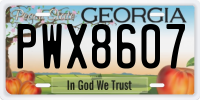 GA license plate PWX8607