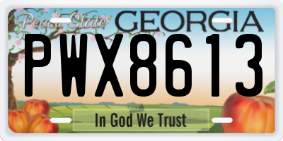 GA license plate PWX8613
