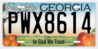 GA license plate PWX8614