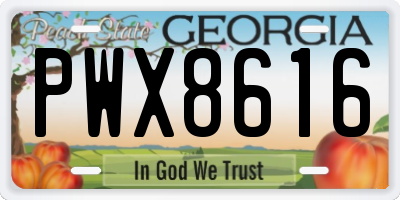 GA license plate PWX8616