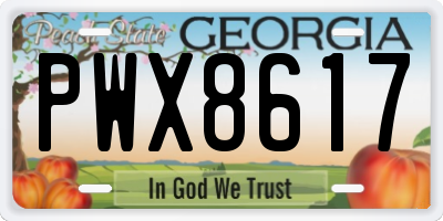 GA license plate PWX8617