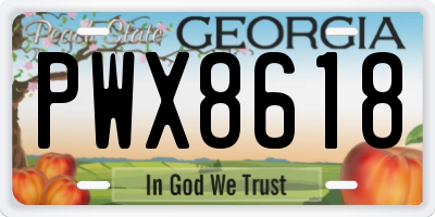 GA license plate PWX8618