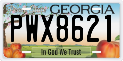GA license plate PWX8621