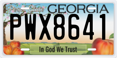 GA license plate PWX8641
