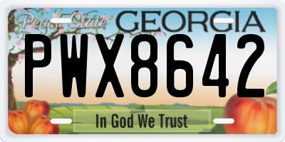 GA license plate PWX8642