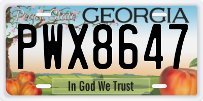 GA license plate PWX8647