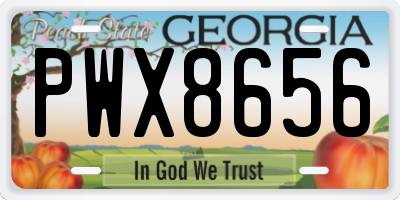 GA license plate PWX8656