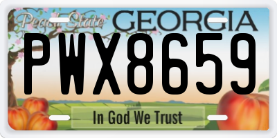 GA license plate PWX8659