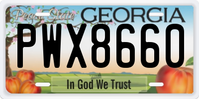 GA license plate PWX8660