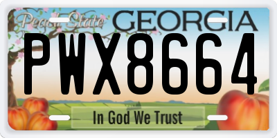 GA license plate PWX8664