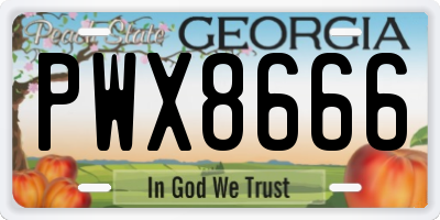 GA license plate PWX8666