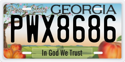 GA license plate PWX8686