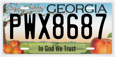 GA license plate PWX8687