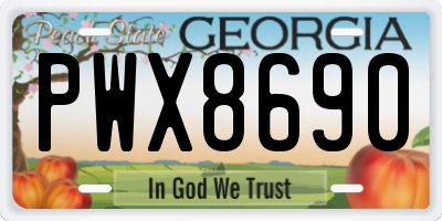 GA license plate PWX8690