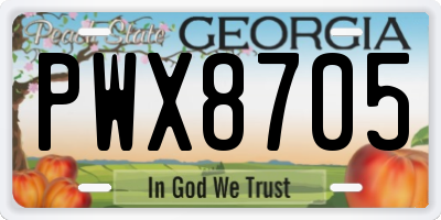 GA license plate PWX8705