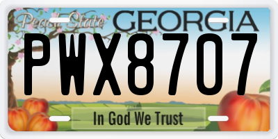 GA license plate PWX8707