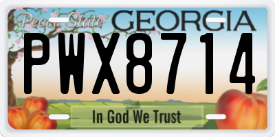 GA license plate PWX8714