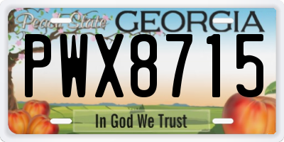 GA license plate PWX8715