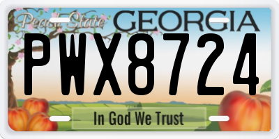 GA license plate PWX8724