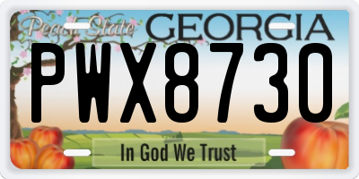 GA license plate PWX8730