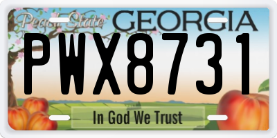GA license plate PWX8731
