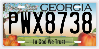 GA license plate PWX8738