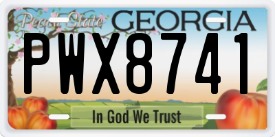 GA license plate PWX8741