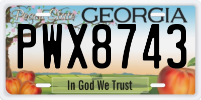 GA license plate PWX8743